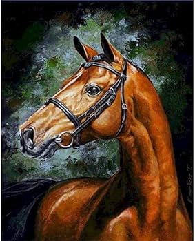 51n+wAmJrUL._AC_UF350,